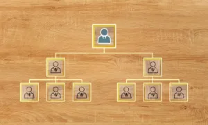 Estructura curricular