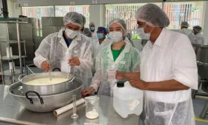 Curso de preparación de productos lácteos