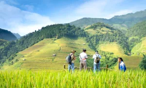 Derechos de los campesinos