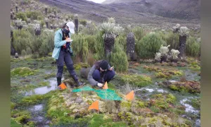 Día de la Tierra: estudiantes apoyan proyecto sostenible en páramo