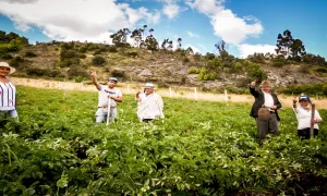 La economía de cara al 2024. El meollo de las expectativas
