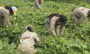 El panorama de la educación superior rural en Colombia