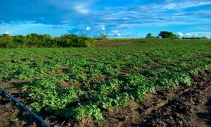 Egresado de Utopía crea asociación con el fin de ayudar a las comunidades víctimas