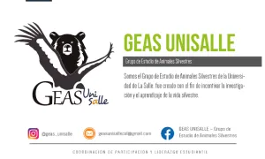 GEAS