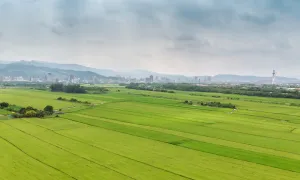 Gestión ambiental en la ruralidad
