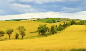 Hacia un desarrollo rural sostenible desde la perspectiva de la productividad ecológica