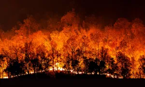 Incendios, campesinado y una nueva relación con la naturaleza
