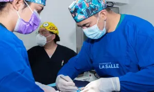 Aprobado Proyecto de Ley que crea el Programa Nacional de esterilización de gatos y perros