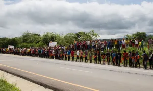 9 Momentos que han marcado la historia de las luchas campesinas en Colombia
