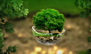 La importancia de recordar el día del medio ambiente