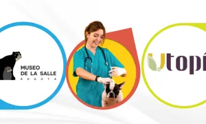 ¡Conoce los nuevos micrositios de La Salle!