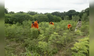 Misión en Fómeque: un compromiso con la ruralidad