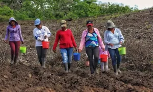 Modo de vida campesino y desarrollo rural