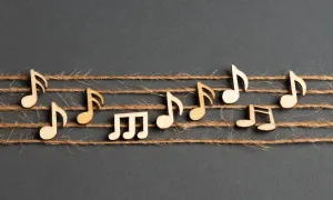 Apreciación Comparada de la Música