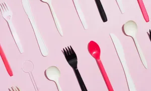 Aprovechamiento responsable de los plásticos de un solo uso