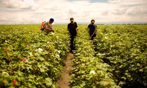 Política para mejorar la competitividad agropecuaria en Colombia