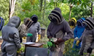 Unisalle gana premio con proyecto innovador para el campo