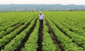 De alerta naranja a roja: Gestión del riesgo y ordenamiento territorial en la ruralidad colombiana 