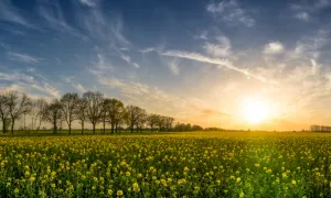 Hablemos de salud: la vitamina D