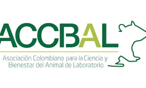 Un espacio en Biblioteca Unisalle dedicado al trabajo colaborativo