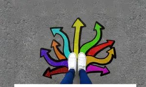 Solicitudes de transferencia interna