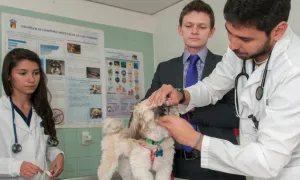 Clínica Veterinaria