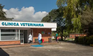 Clínica Veterinaria
