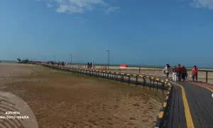 Salida de campo