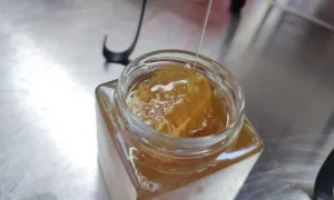Enfrascado de Miel