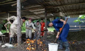 Trabajando el abono