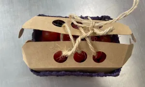 Envase elaborado con cartones de huevos.