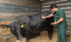 Agroexpo