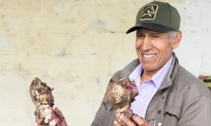 Lanzamiento planta semiindustrial