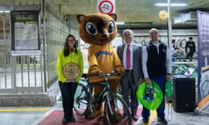 Reconocimiento sello Gold 