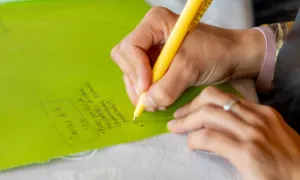 Lanzamiento programa Bioingeniería