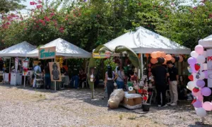 Día de la cosecha Yopal 