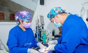 Medicina veterinaria