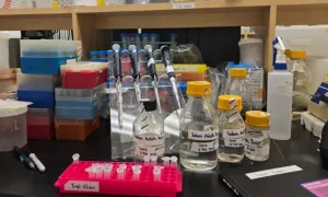 Estudiante de Doctorado en Ingeniería logra beca ELAP para estancia en Canadá