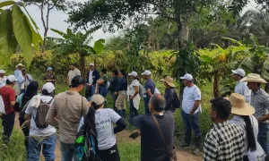 Extensión rural y el sector cacaotero en la Orinoquía