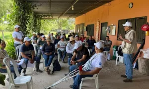 Extensión rural y el sector cacaotero en la Orinoquía