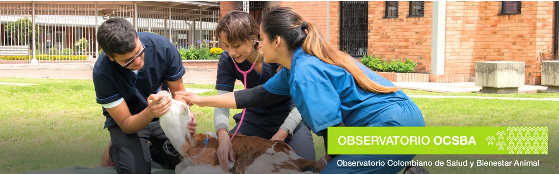 Personas participando en el Conversatorio Nacional sobre salud y bienestar animal