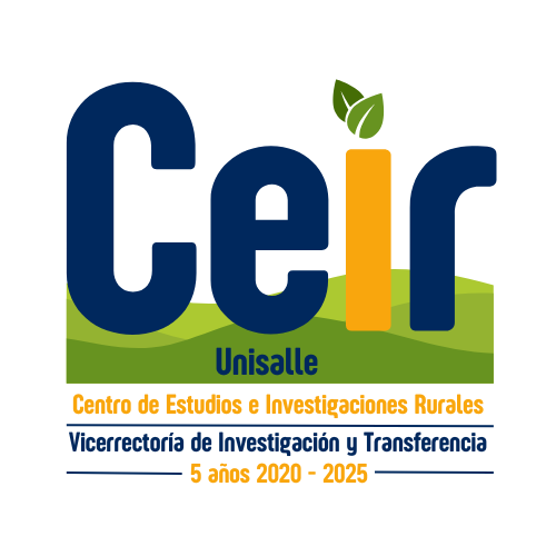 Logo CEIR