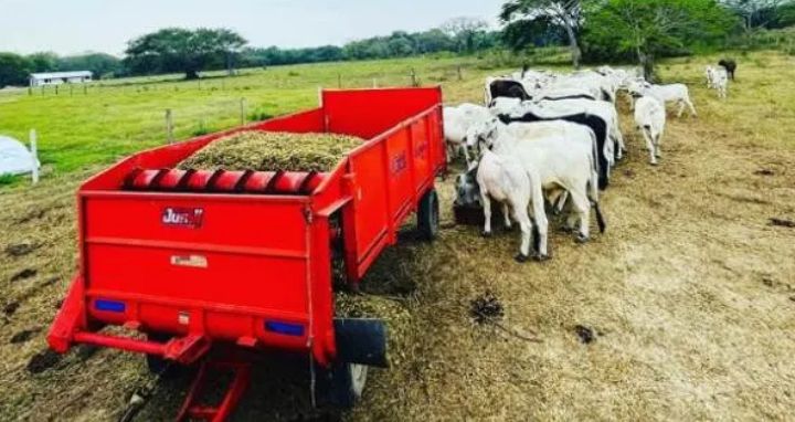 Tractor agrícola realizando labores de campo