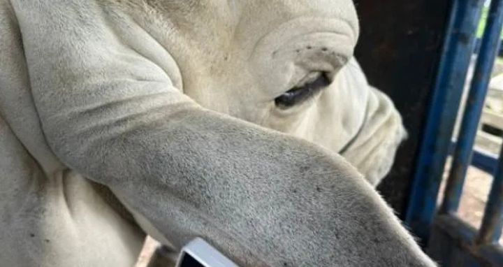 Investigador trabajando en una unidad experimental agropecuaria