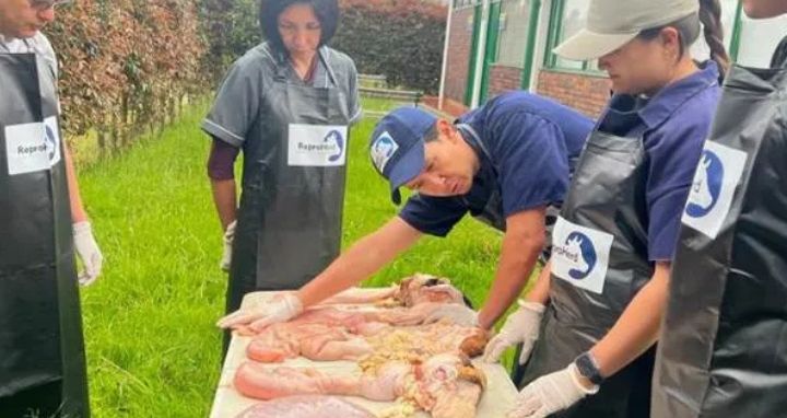 Estudiantes durante una visita académica en el CIC Casanare