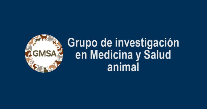 Grupo de Medicina y salud animal