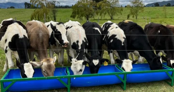 Tractor agrícola realizando labores de campo