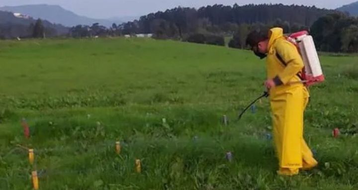 Estudiantes durante una visita académica en el CIC Casanare