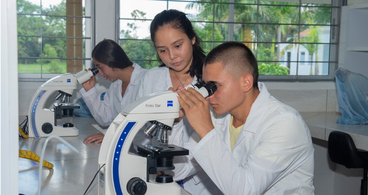 Imagen tomada en Utopía