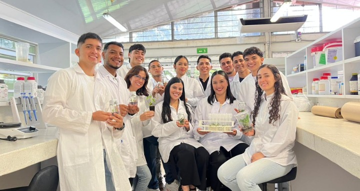 Cromatógrafo_líquido